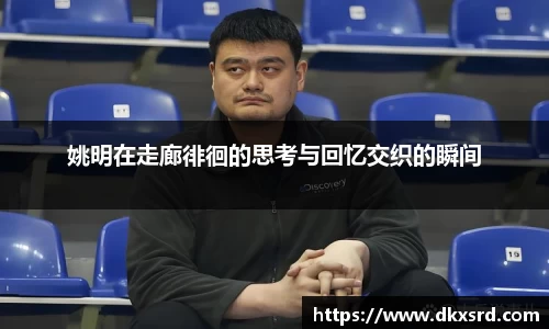 韦德体育